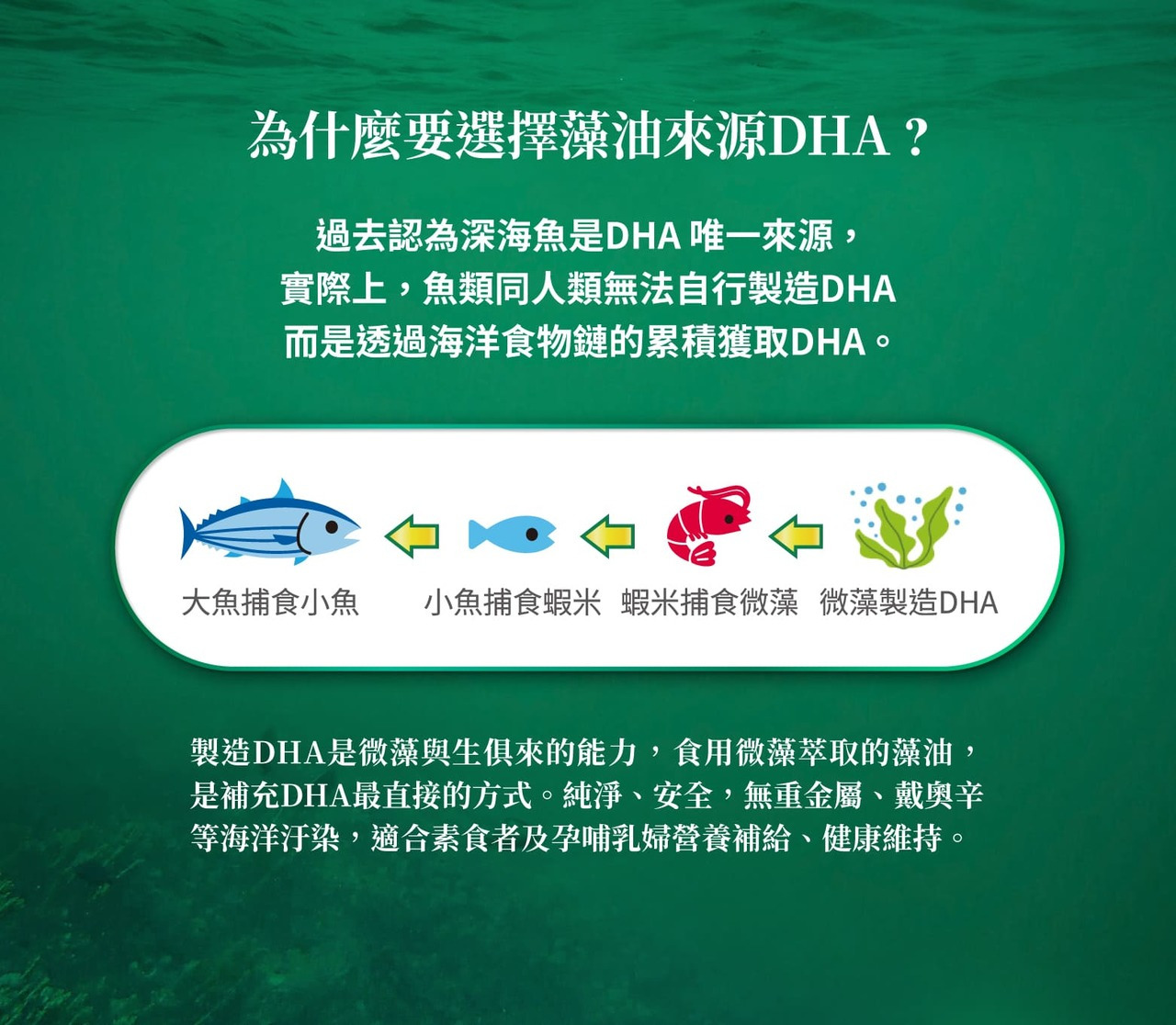 製造DHA是微藻與生俱來的能力，食用微藻萃取的藻油是補充DHA最直接的方式，純淨無重金屬、戴奧辛等汙染。