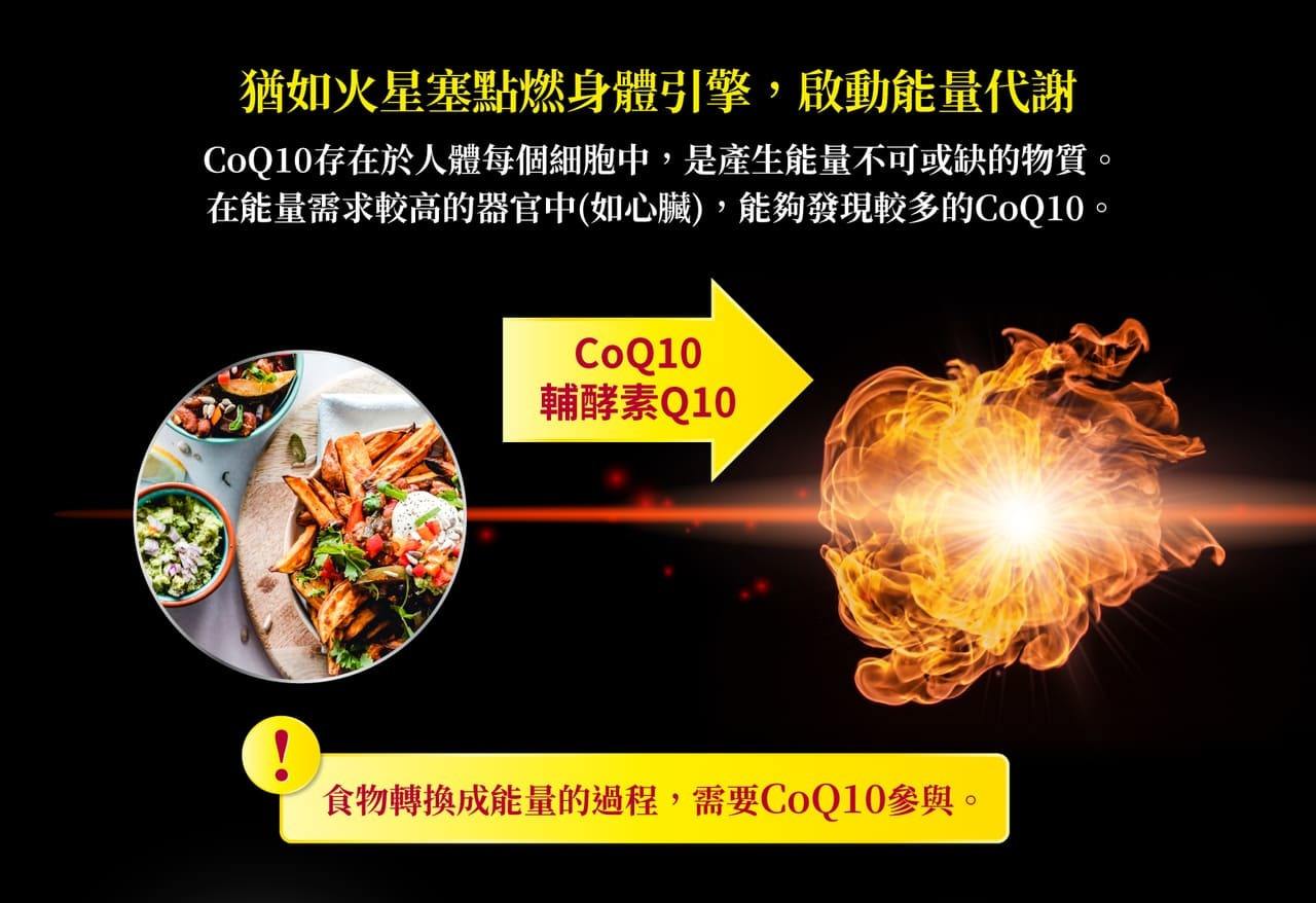 CoQ10存在於人體每個細胞中，是產生能量不可或缺的物質